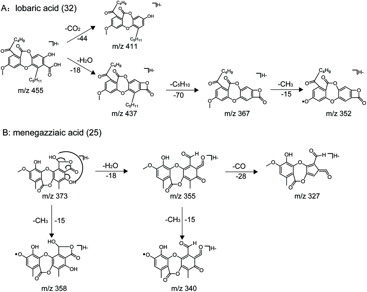 OUPLC-Q-TOF/MS chromatograms and annotation of the molecular