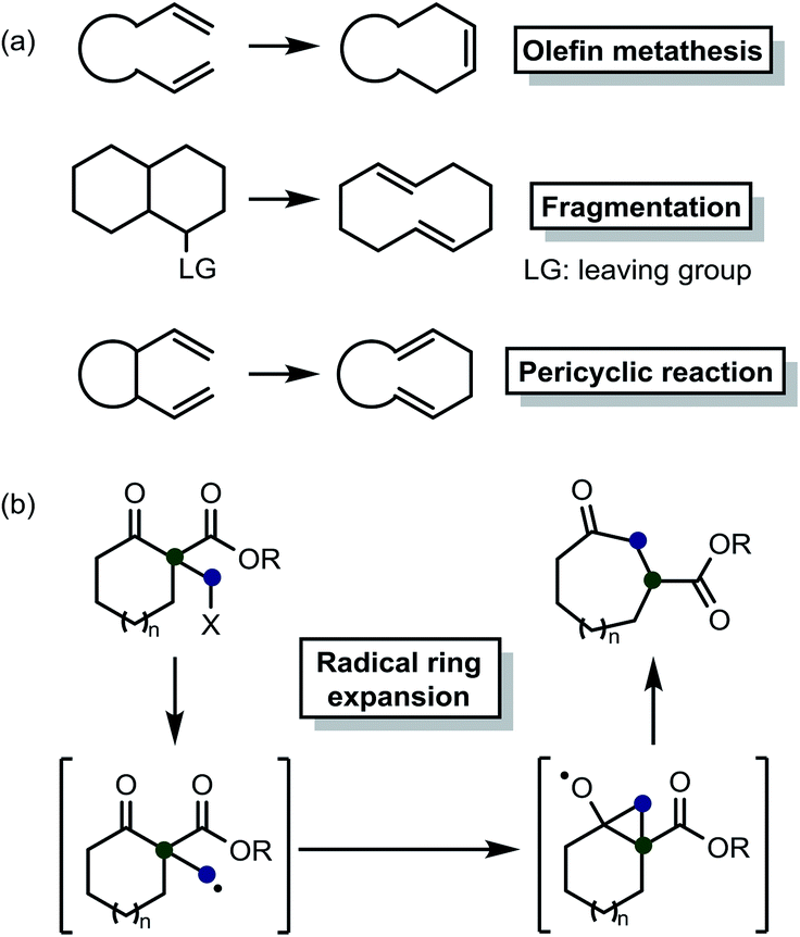 AlCl₃-Catalyzed Ring Expansion Cascades of Bicyclic Cyclobutenamides  Involving Highly Strained Cis,Trans-Cycloheptadienone Intermediates. |  Semantic Scholar