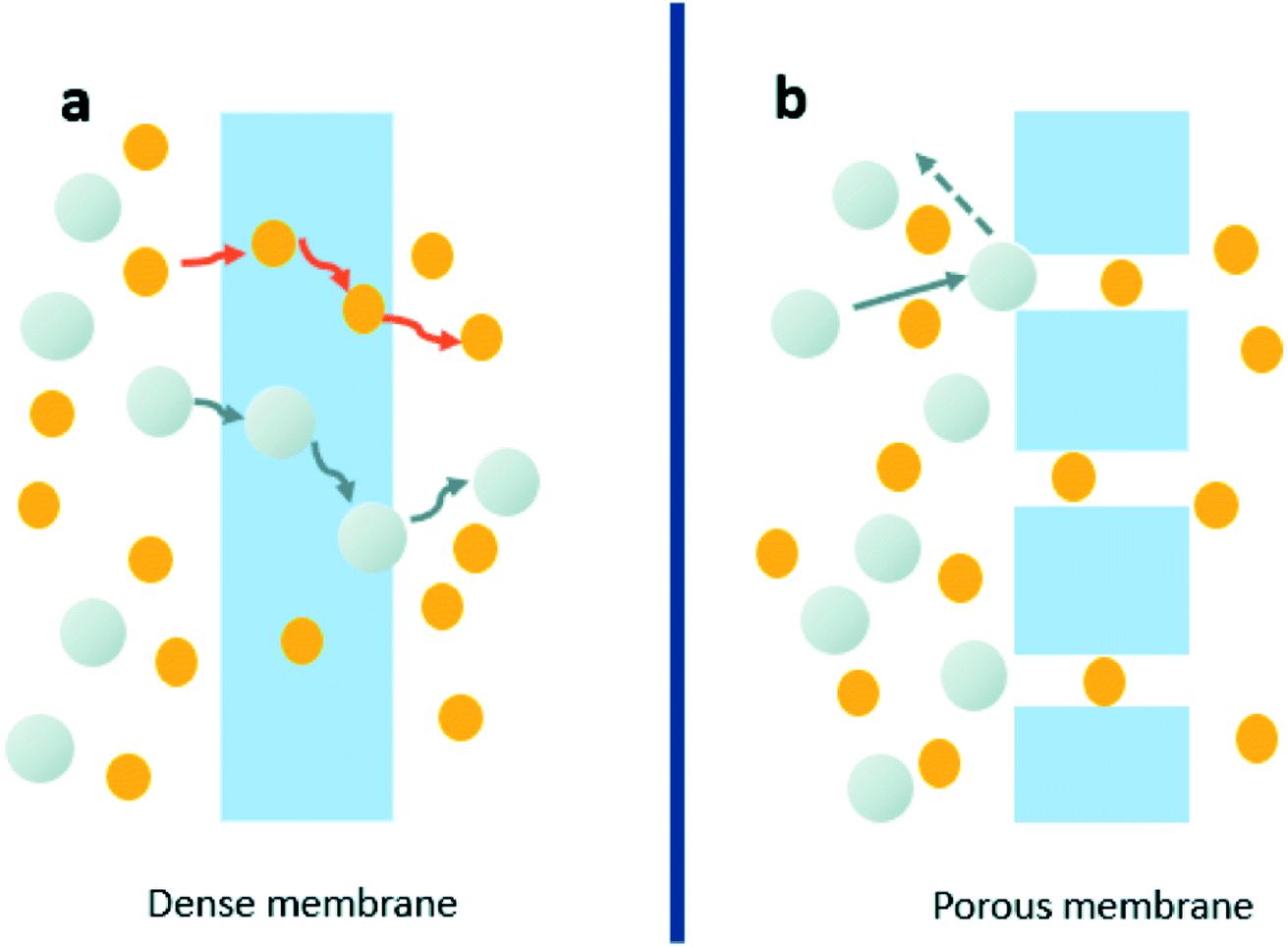 Separation and purification using GO and r-GO membranes - RSC 