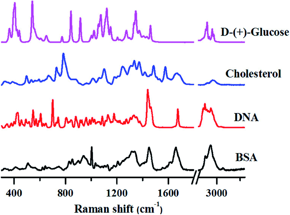 Challenges in application of Raman spectroscopy to biology and materials -  RSC Advances (RSC Publishing) DOI:10.1039/C8RA04491K