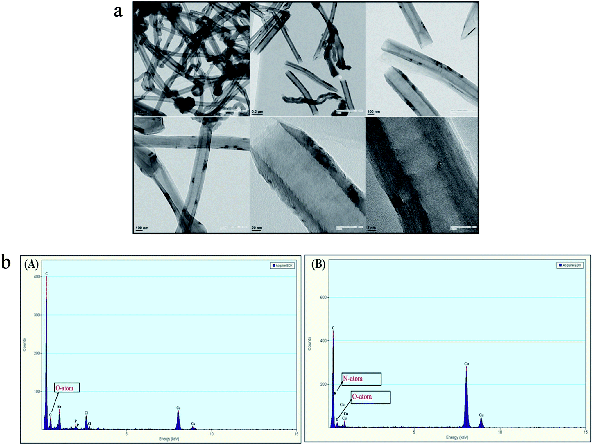 Facile Fabrication Of A Recyclable Nanobiocatalyst Immobilization Of Burkholderia Cepacia Lipase On Carbon Nanofibers For The Kinetic Resolution Of A Rsc Advances Rsc Publishing Doi 10 1039 C8rak