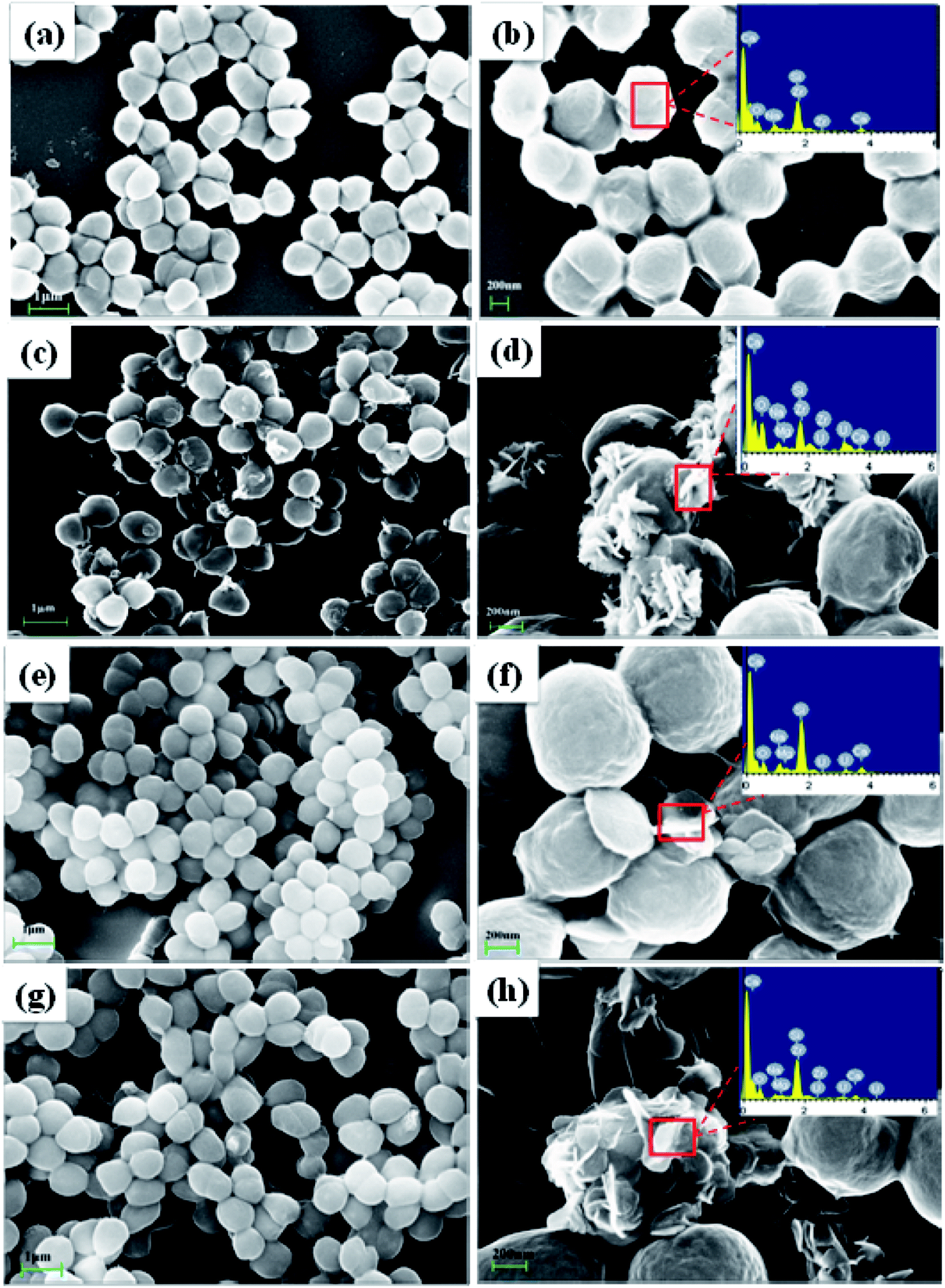 Effects Of Riboflavin And Aqs As Electron Shuttles On U Vi Reduction And Precipitation By Shewanella Putrefaciens Rsc Advances Rsc Publishing Doi 10 1039 C8raj