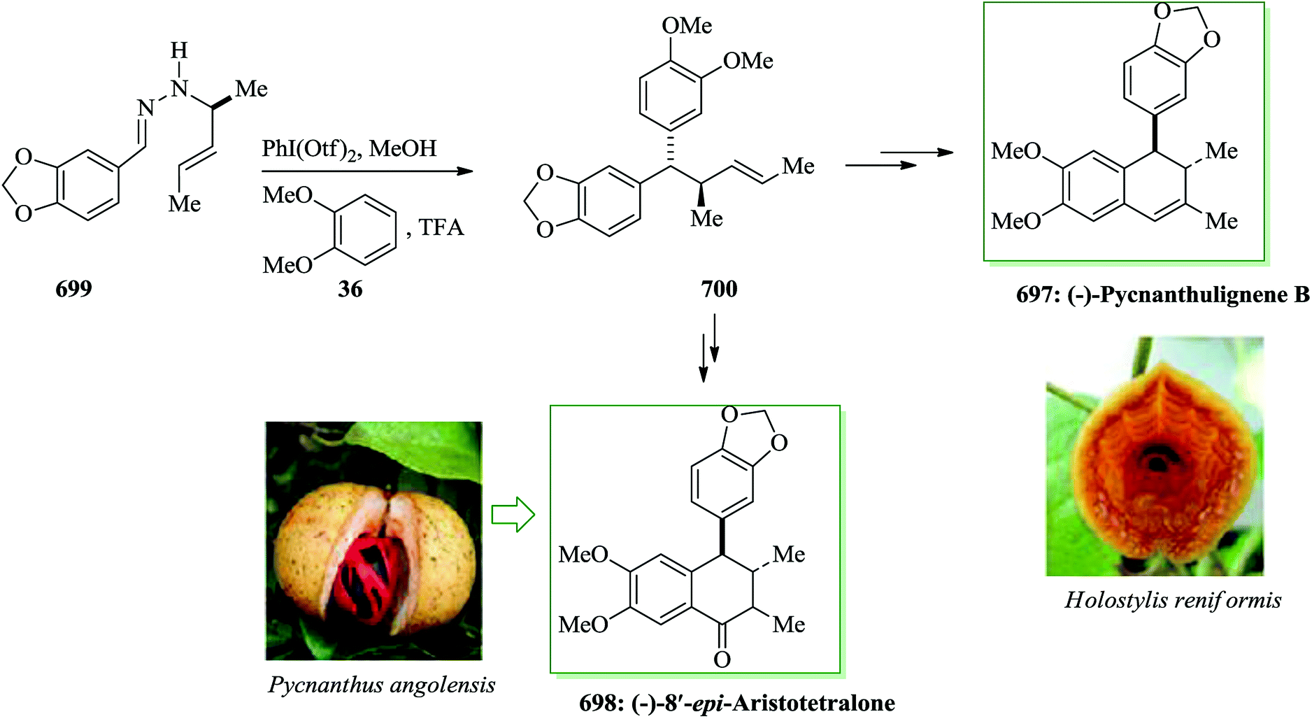Applications of Friedel–Crafts reactions in total synthesis of natural ...