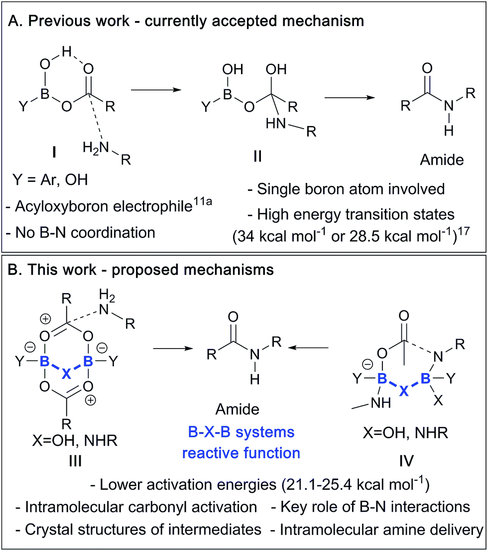 Mechanistic Insights Into Boron Catalysed Direct Amidation Reactions Chemical Science Rsc Publishing Doi 10 1039 C7sck