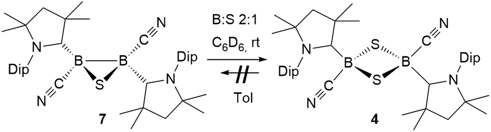 Bouchons côniques en polyéthylène DIN 12_21 - Lelaborantin
