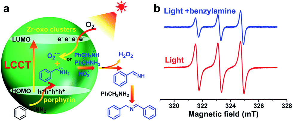 Direct evidence of charge separation in a metal–organic framework:  efficient and selective photocatalytic oxidative coupling of amines via  charge and ... - Chemical Science (RSC Publishing) DOI:10.1039/C7SC05296K
