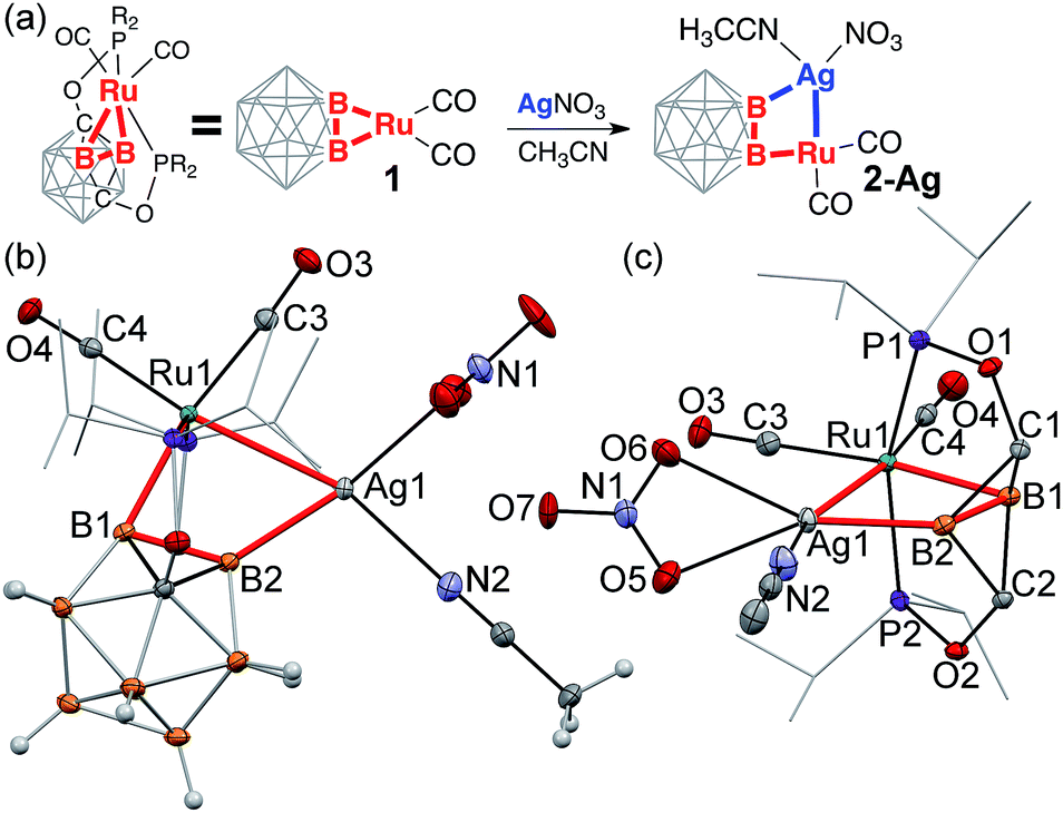 Expansion Of The Double Bond Splayed Left Ru Metallacycle With Coinage Metal Cations Formation Of B M Ru B M Cu Ag Au Dimetalacyclodiboryl Chemical Science Rsc Publishing Doi 10 1039 C8sca