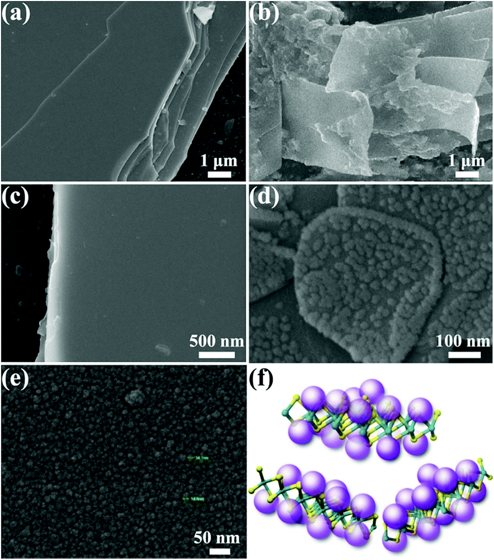 Dynamic Tungsten Diselenide Nanomaterials Supramolecular Assembly