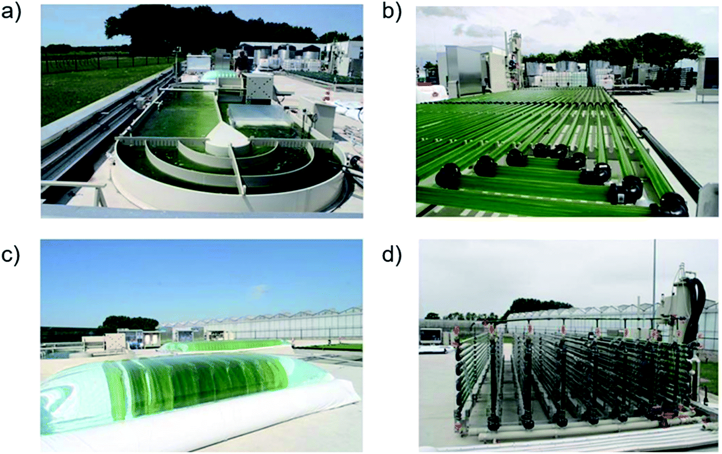 Emerging microalgae technology: a review - Sustainable Energy & Fuels ...