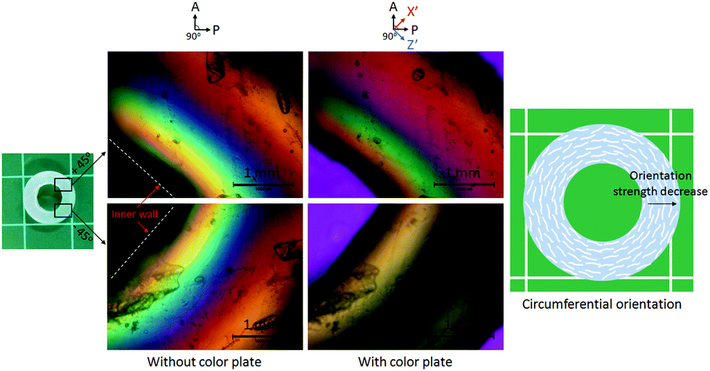 A Diffusion-Driven Fabrication Technique For Anisotropic Tubular Hydrogels - Soft Matter (Rsc Publishing) Doi:10.1039/C8Sm01235K