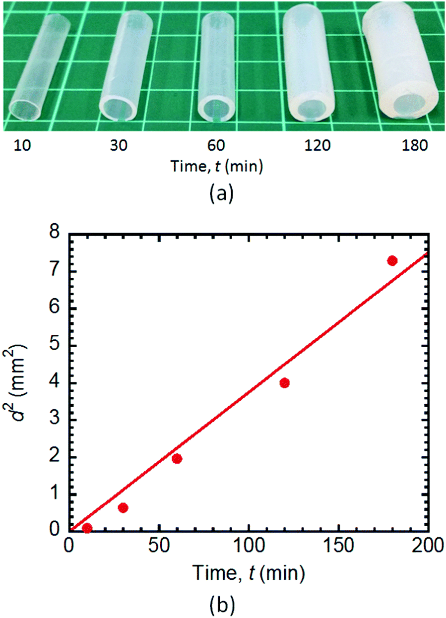 A Diffusion-Driven Fabrication Technique For Anisotropic Tubular Hydrogels - Soft Matter (Rsc Publishing) Doi:10.1039/C8Sm01235K