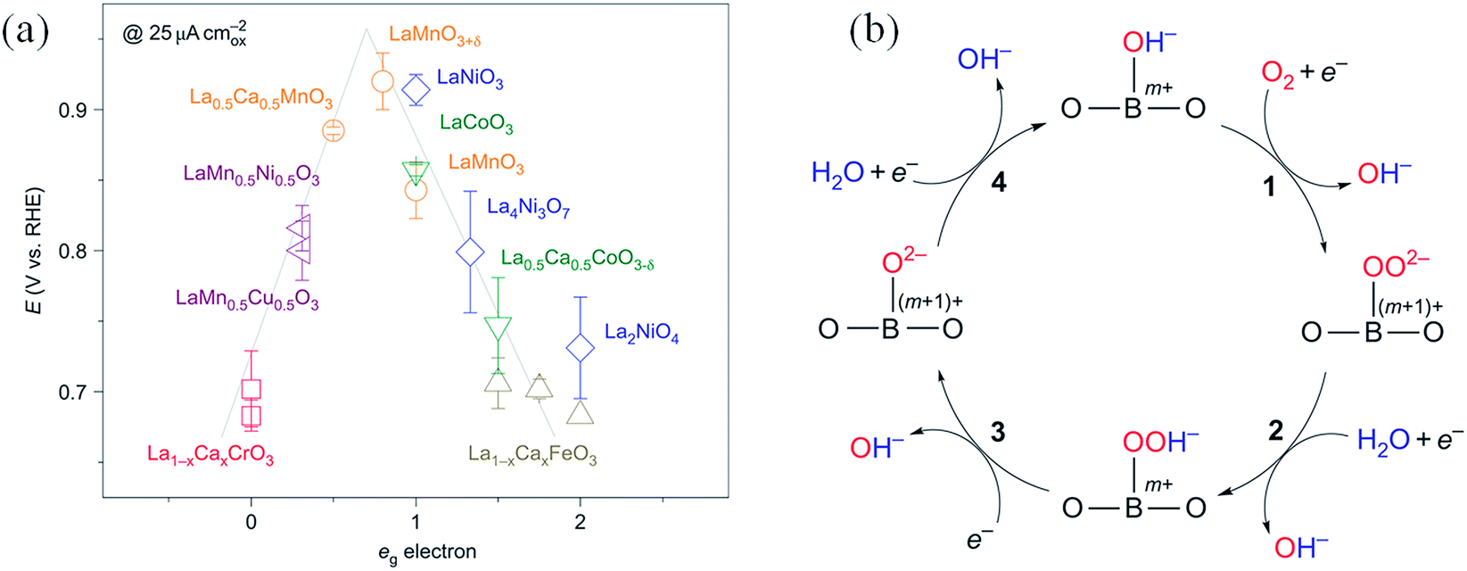 Transition metal oxide-based oxygen reduction reaction 