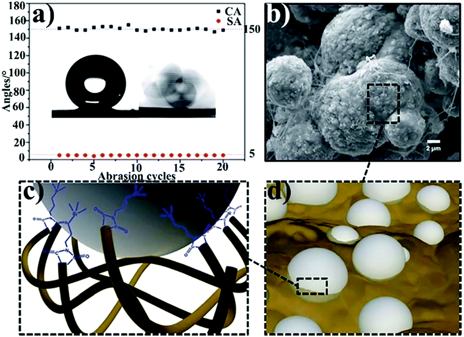 Biomimetic super durable and stable surfaces with 