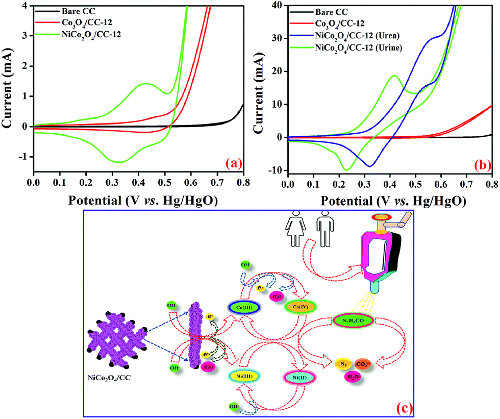 3d Flower Like Hierarchical Nico 2 O 4 Architecture On Carbon Cloth Fibers As An Anode Catalyst For High Performance Durable Direct Urea Fuel Cells Journal Of Materials Chemistry A Rsc Publishing Doi 10 1039 C8taj