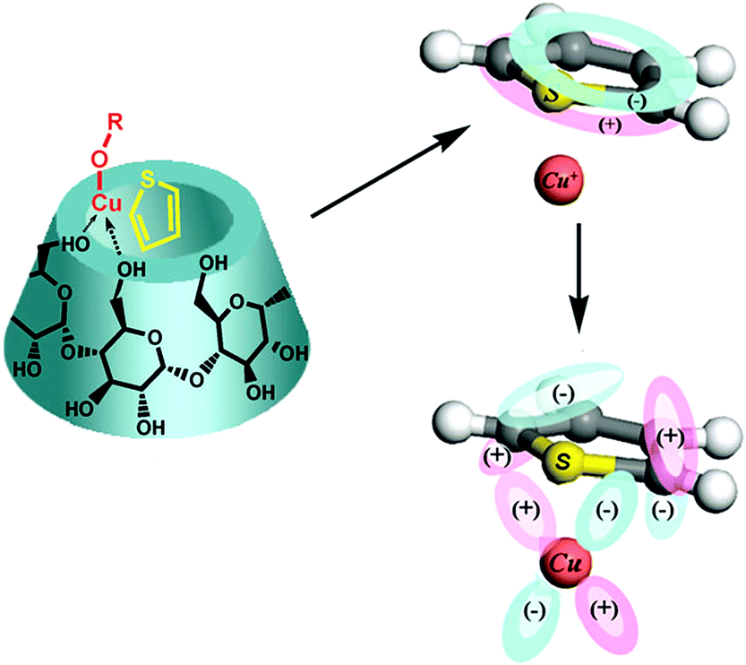 SY様 Design and fabrication of nanoporous adsorbents for the