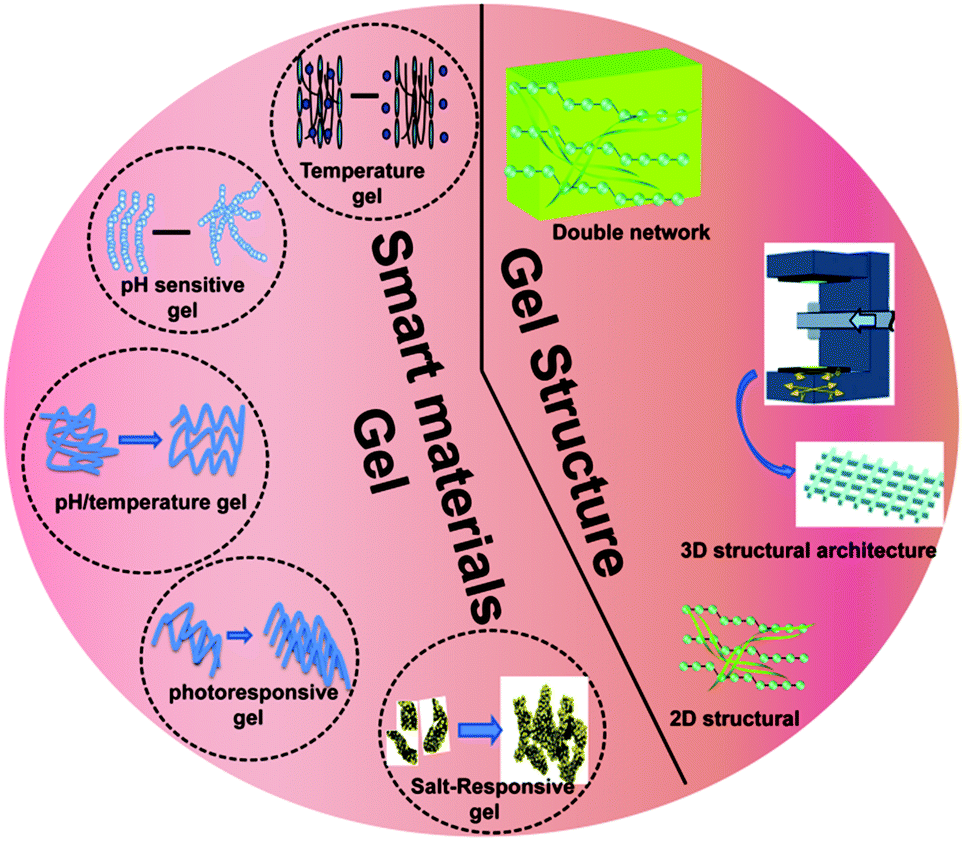 Multifunctional Smart Hydrogels Potential In Tissue Engineering And Cancer Therapy Journal Of Materials Chemistry B Rsc Publishing Doi 10 1039 C8tb01078a