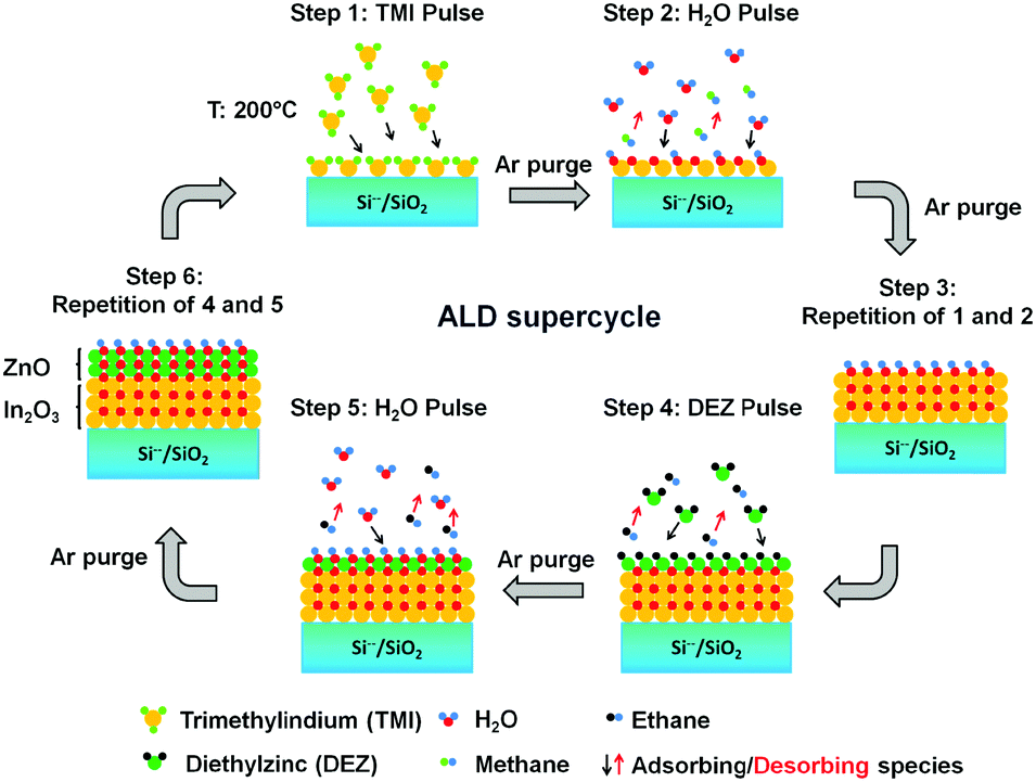 Stacked indium oxide/zinc oxide heterostructures as semiconductors in thin  film transistor devices: a case study using atomic layer deposition -  Journal of Materials Chemistry C (RSC Publishing) DOI:10.1039/C7TC03724D