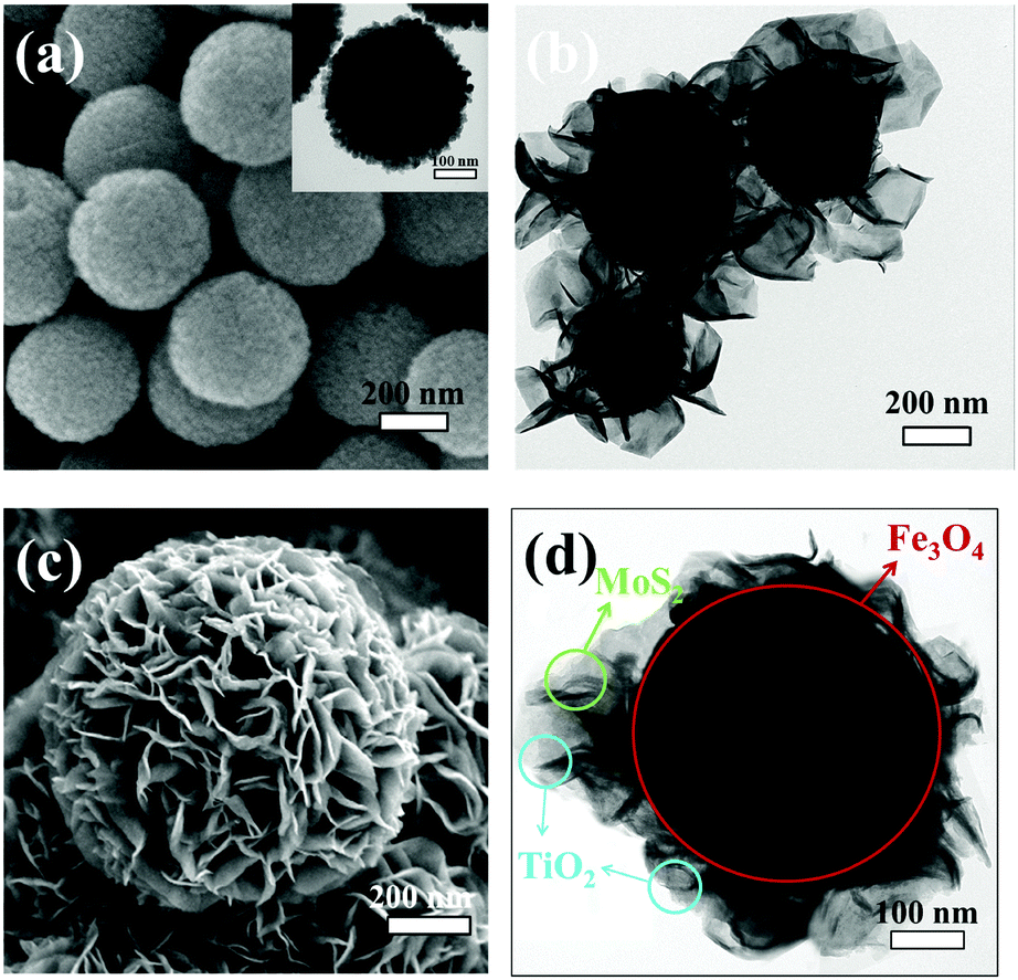 Towards Unique Shear Thinning Behaviors Under Electric And Magnetic Fields Achieved By Tio 2 Decorated Magnetic Mos 2 Nanosheets Lubricating Effects Journal Of Materials Chemistry C Rsc Publishing Doi 10 1039 C7tcb