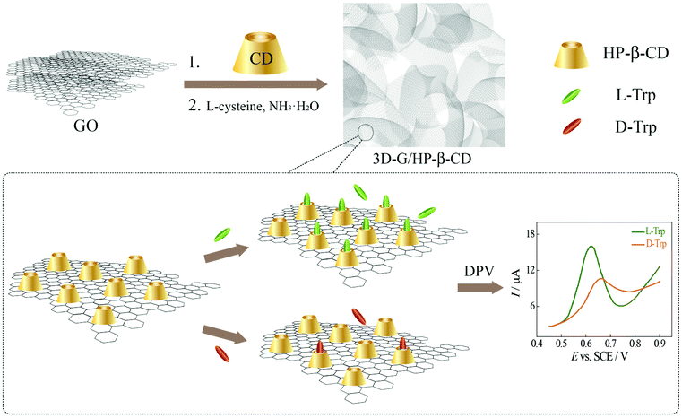 3d Graphene Hydroxypropyl B Cyclodextrin Nanocomposite As An Electrochemical Chiral Sensor For The Recognition Of Tryptophan Enantiomers Journal Of Materials Chemistry C Rsc Publishing Doi 10 1039 C8tca