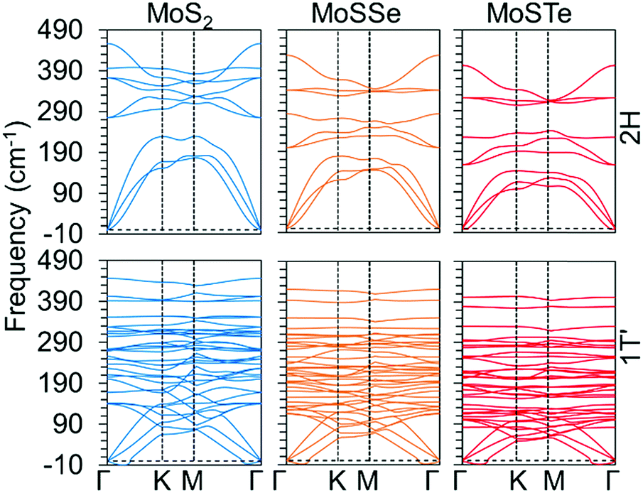 2H → 1T′ phase transformation in Janus monolayer MoSSe and MoSTe 