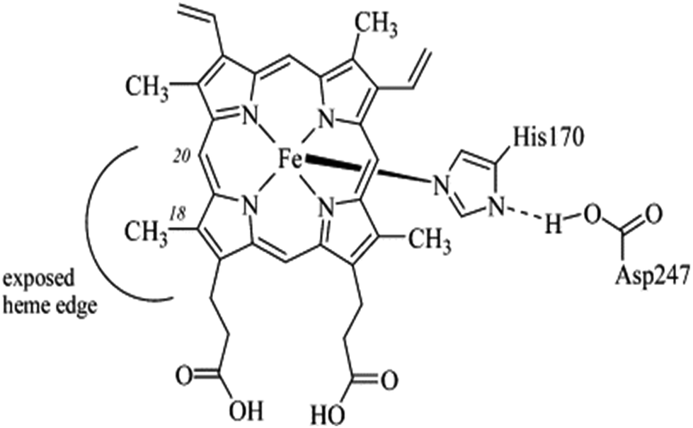 Horseradish Peroxidase Catalyzed Hydrogelation For Biomedical Applications Biomaterials Science Rsc Publishing,Modal Fabric