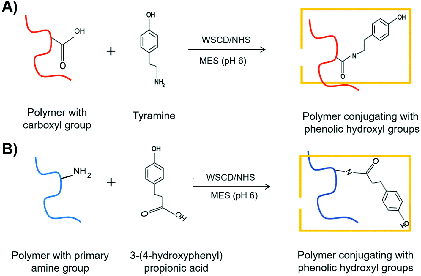 Horseradish Peroxidase Catalyzed Hydrogelation For Biomedical Applications Biomaterials Science Rsc Publishing