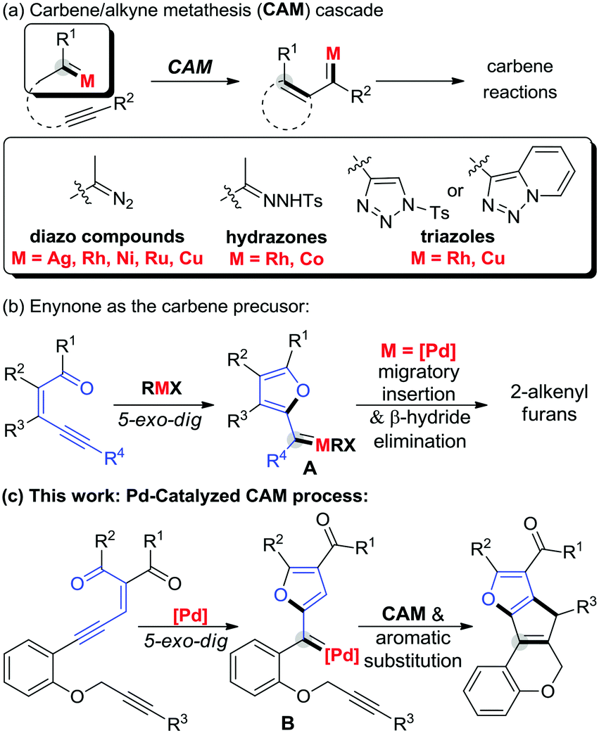 Palladium-catalyzed carbene/alkyne metathesis with enynones as carbene  precursors: synthesis of fused polyheterocycles - Chemical Communications  (RSC Publishing)