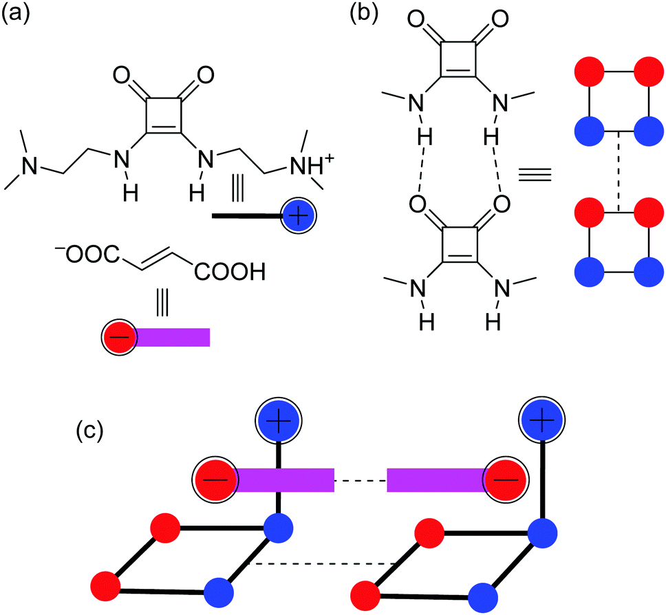 H Bonded Anion Anion Complex Trapped In A Squaramido Based Receptor Chemical Communications Rsc Publishing