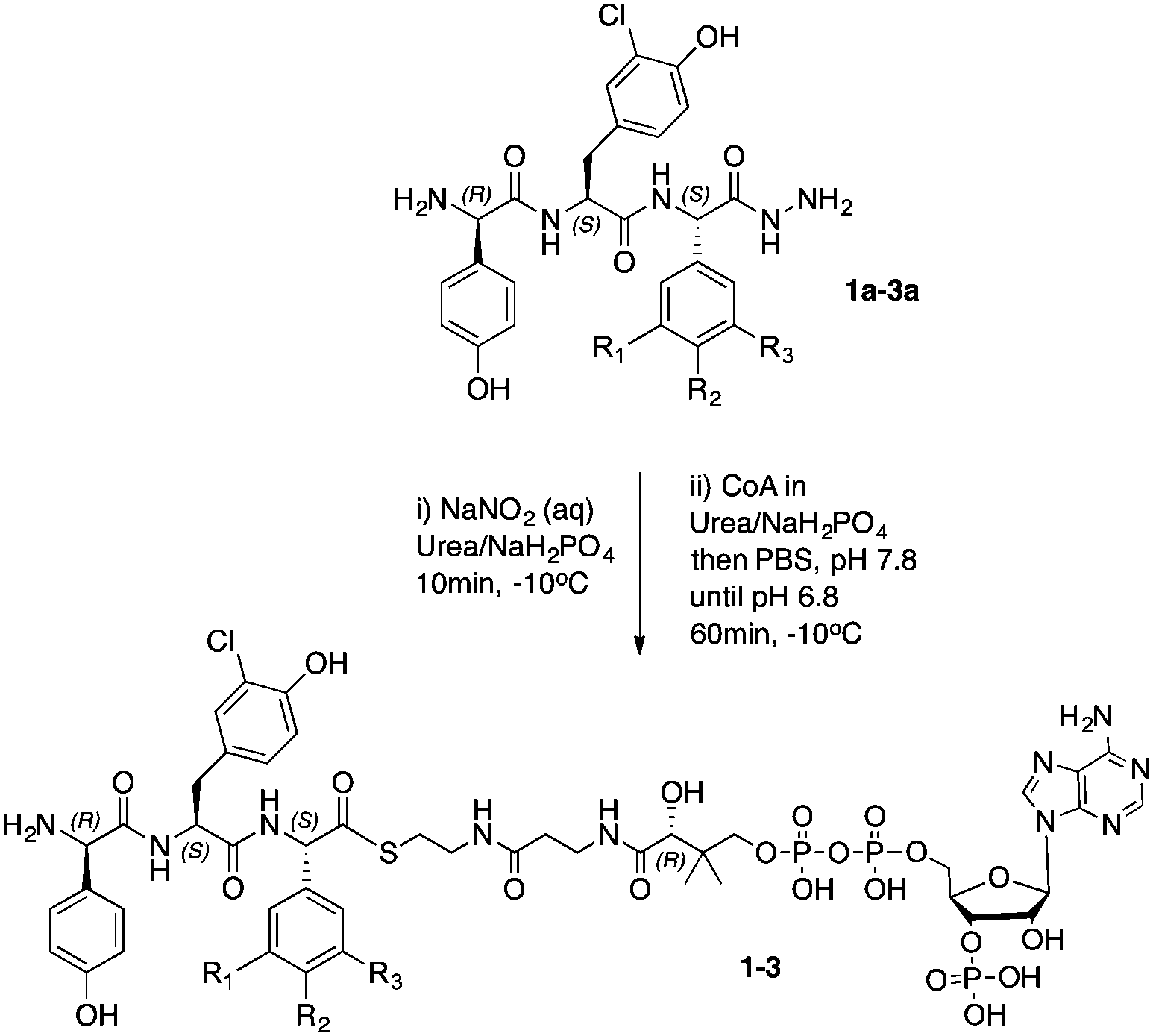 a-route-to-diastereomerically-pure-phenylglycine-thioester-peptides
