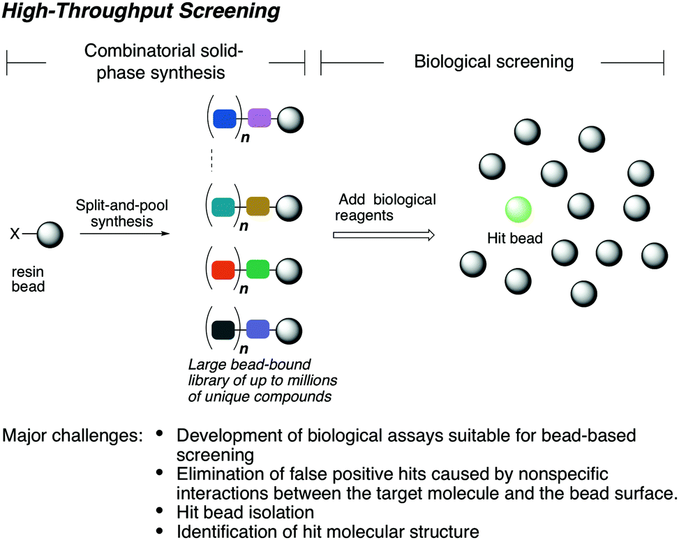 Bead Based Screening In Chemical Biology And Drug Discovery - 