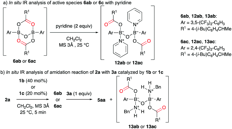The Ortho Substituent On 2 4 Bis Trifluoromethyl Phenylboronic Acid Catalyzed Dehydrative Condensation Between Carboxylic Acids And Amines Chemical Communications Rsc Publishing