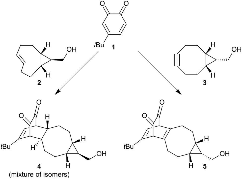 Orthogonal, dual protein labelling by tandem cycloaddition of strained