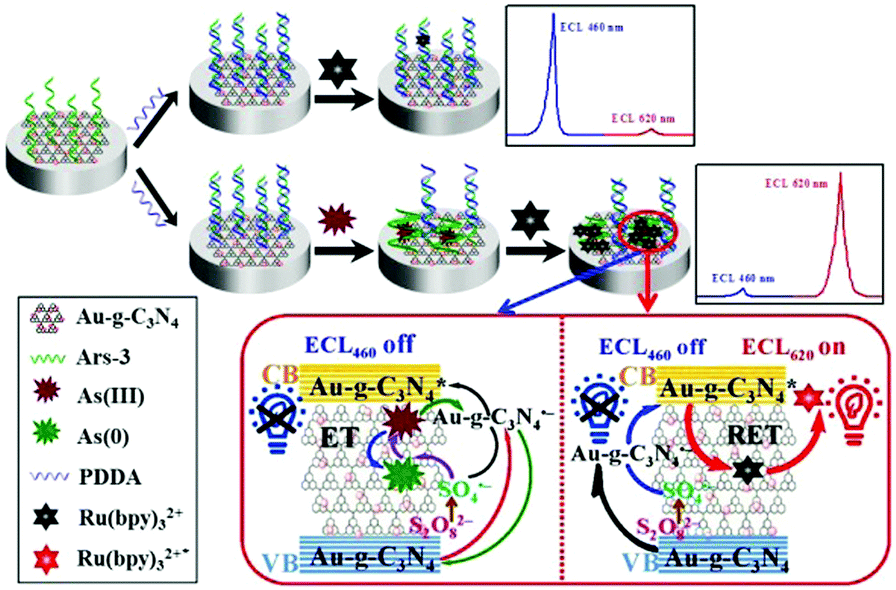 An Ultratrace Assay Of Arsenite Based On The Synergistic Quenching Effect Of Ru Bpy 32 And Arsenite On The Electrochemiluminescence Of Au G C3n4 Nanosheets Chemical Communications Rsc Publishing