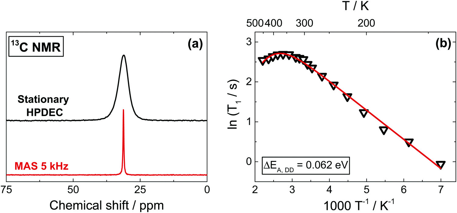 Shortrange ion dynamics in methylammonium lead iodide by multinuclear