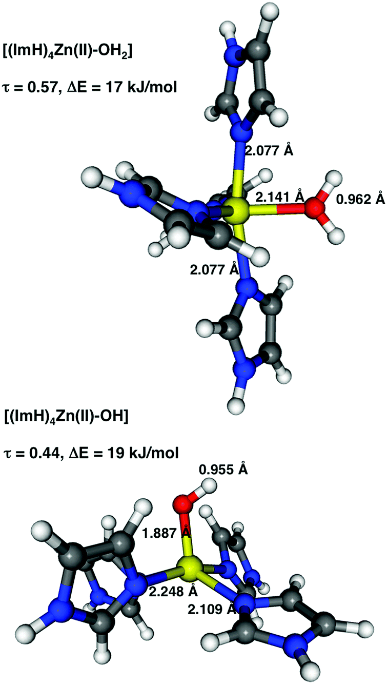 H2o Zn Imidazole N 2 The Vital Roles Of Coordination Number And Geometry In Zn Oh2 Acidity And Catalytic Hydrolysis Physical Chemistry Chemical Physics Rsc Publishing