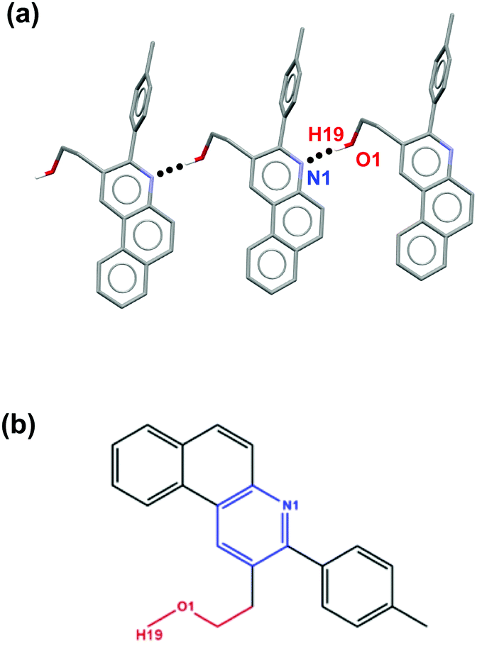 Hydrogen Bond Donor Acceptor 