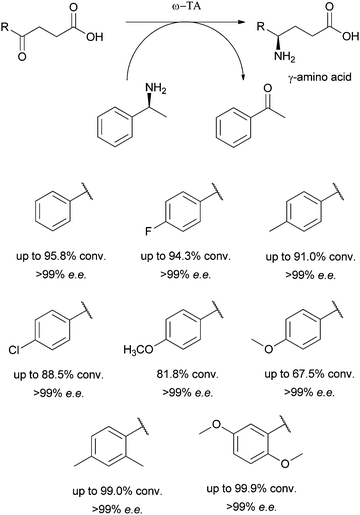 Enzymatic Asymmetric Synthesis Of Chiral Amino Acids Chemical Society Reviews Rsc Publishing
