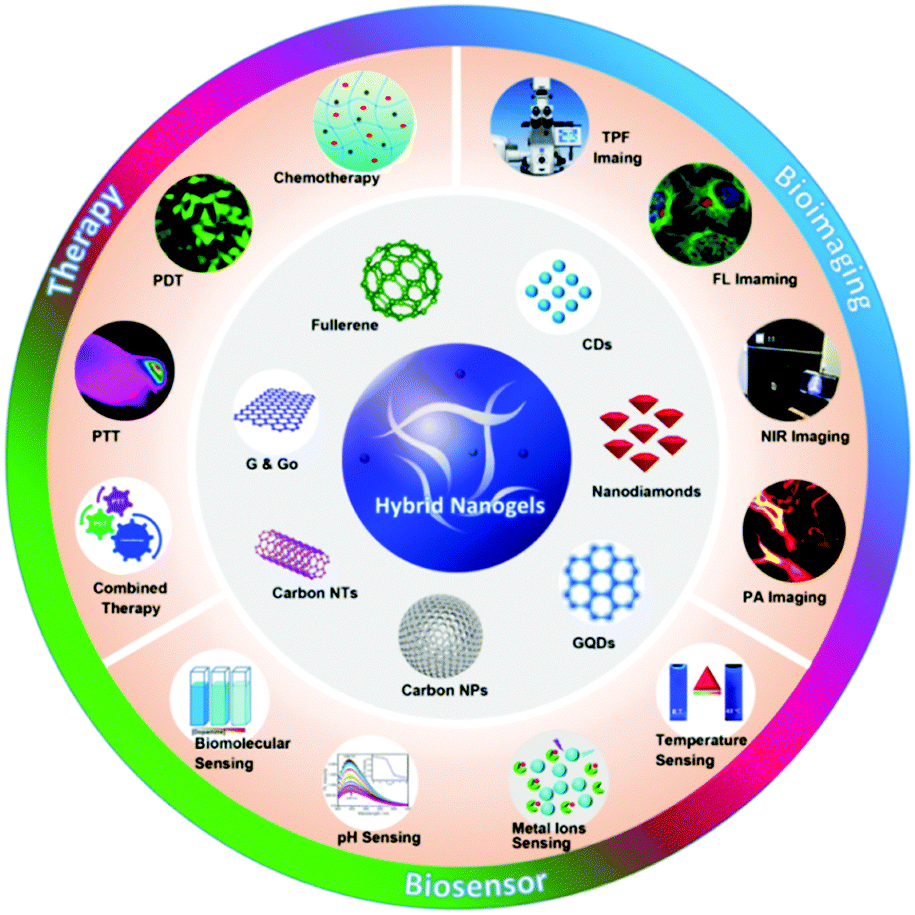Carbon Based Hybrid Nanogels A Synergistic Nanoplatform For Combined Biosensing Bioimaging And Responsive Drug Delivery Chemical Society Reviews Rsc Publishing