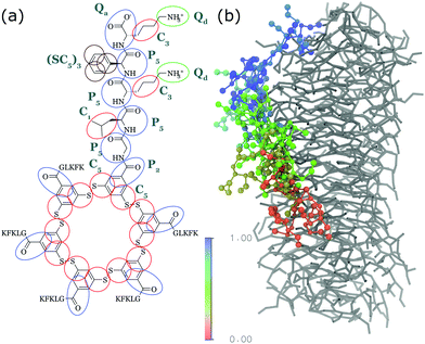 Molecular simulations of self-assembling bio-inspired supramolecular ...