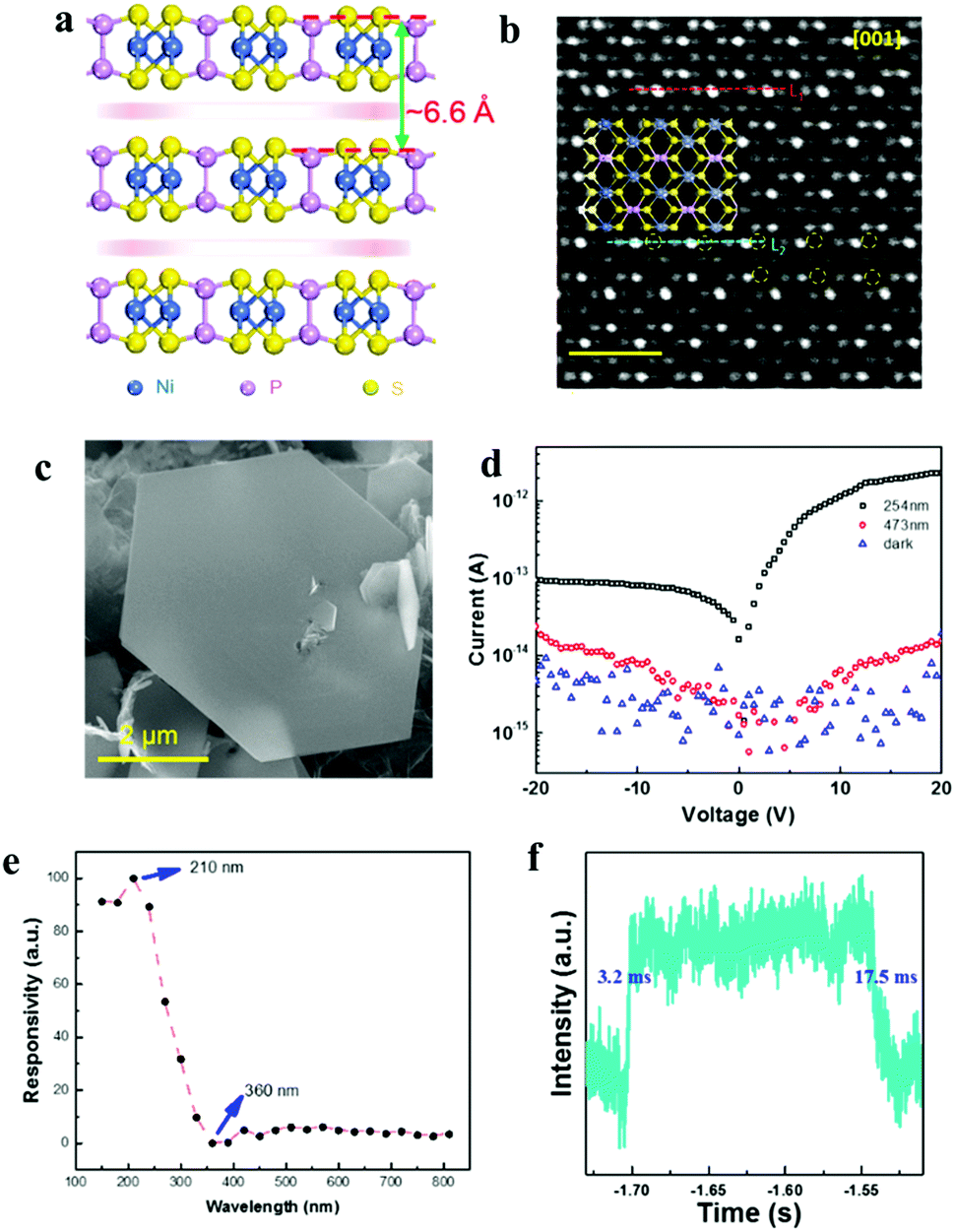 2d Library Beyond Graphene And Transition Metal