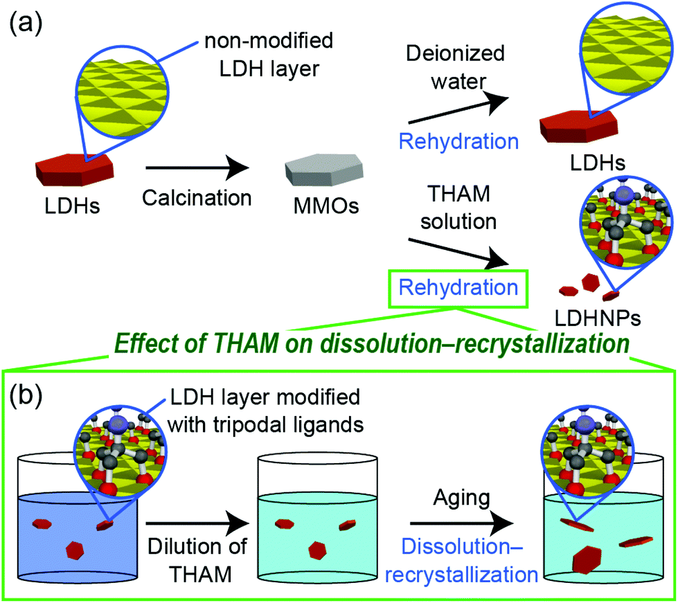 Precise Size Control Of Layered Double Hydroxide Nanoparticles Through Reconstruction Using Tripodal Ligands Dalton Transactions Rsc Publishing