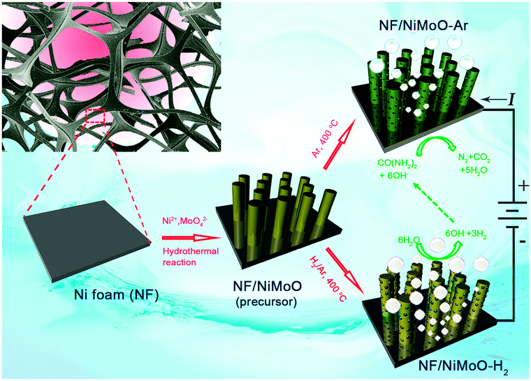 Ni Mo O Nanorod Derived Composite Catalysts For Efficient Alkaline Water To Hydrogen Conversion Via Urea Electrolysis Energy Environmental Science Rsc Publishing