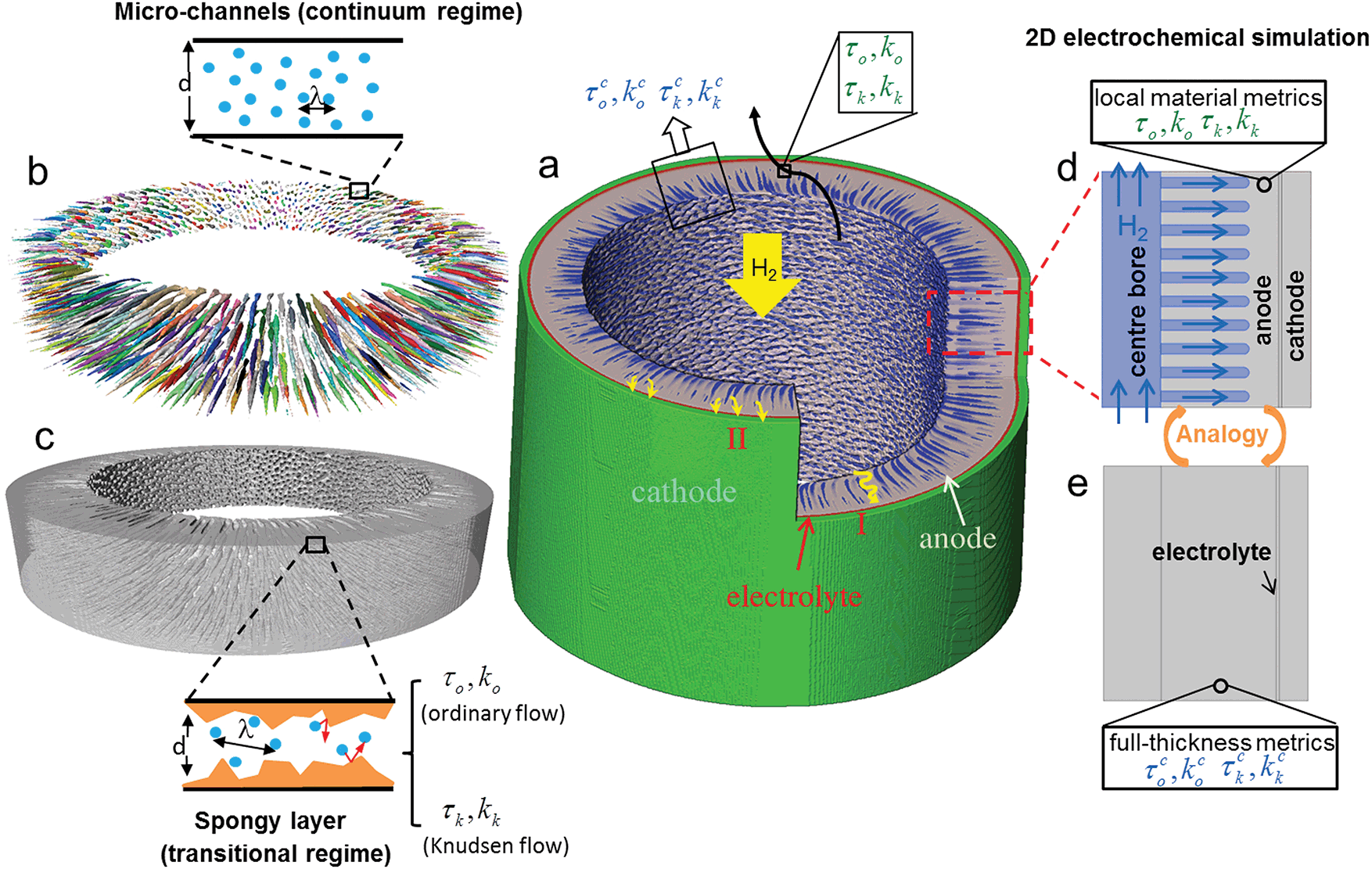 Cell path