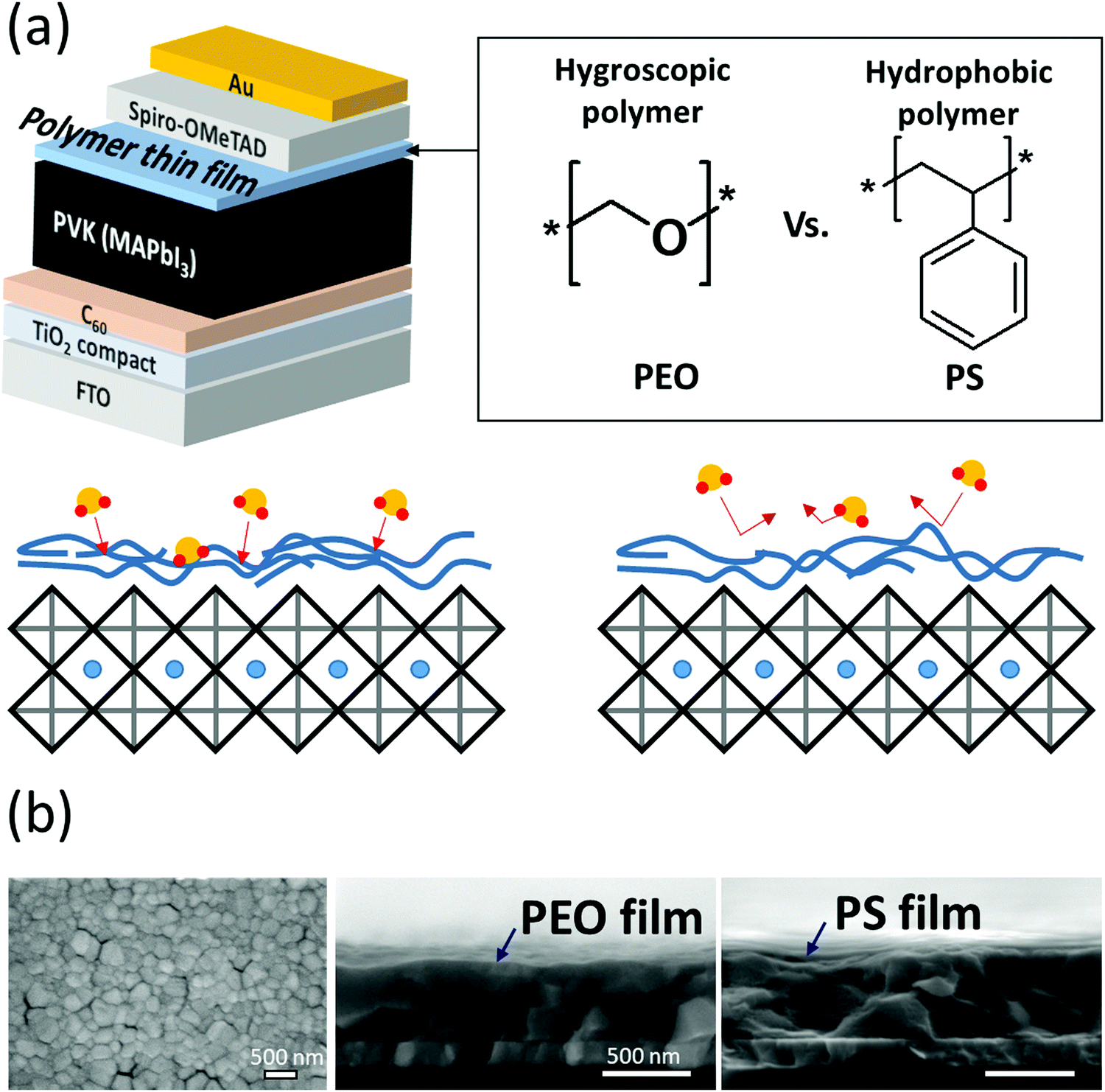 Enhanced Solar Cell Stability By Hygroscopic Polymer - 