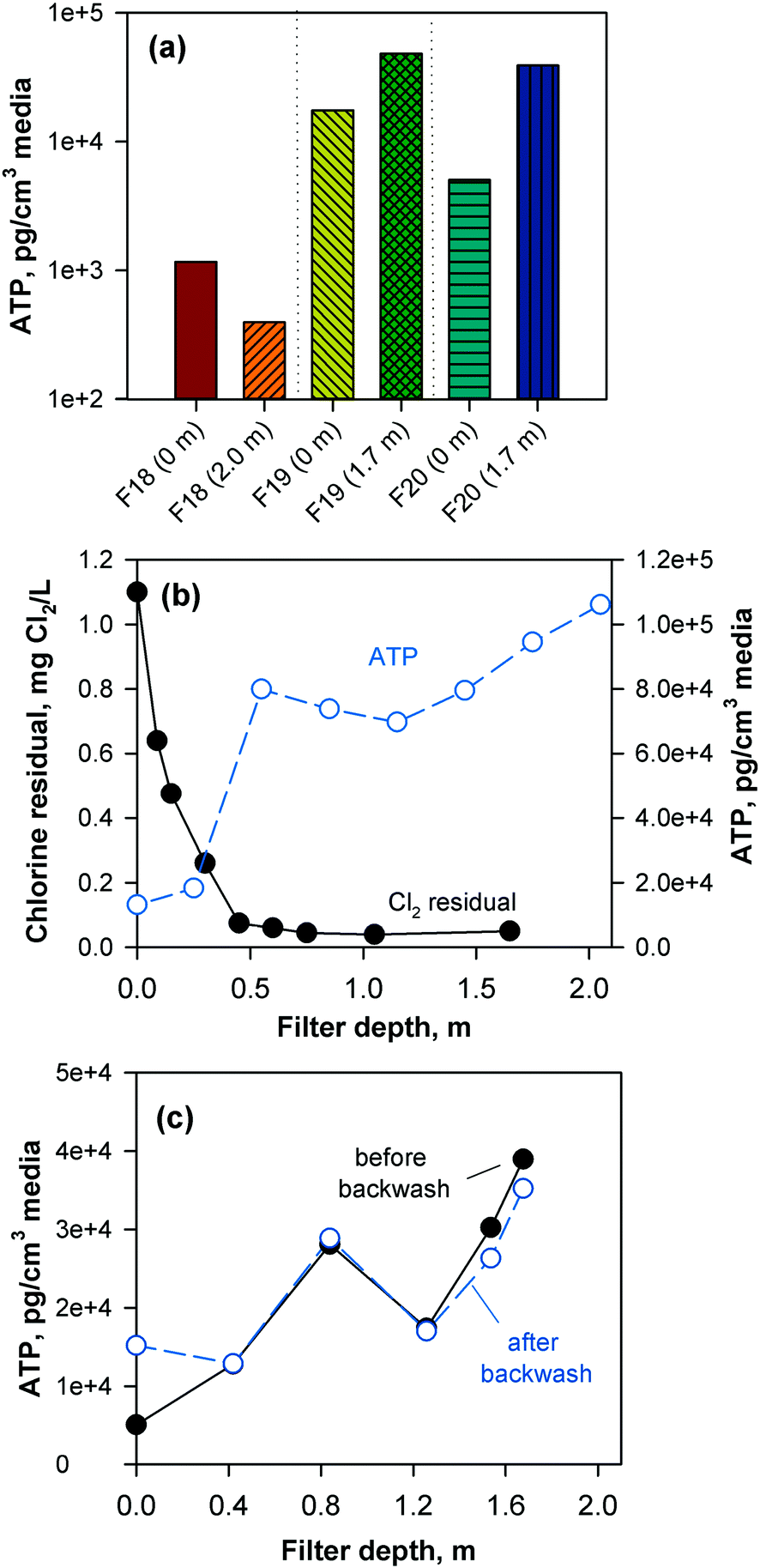 Impact Of Upstream Chlorination On Filter Performance And Microbial Community Structure Of Gac And Anthracite Biofilters Environmental Science Water Research Technology Rsc Publishing