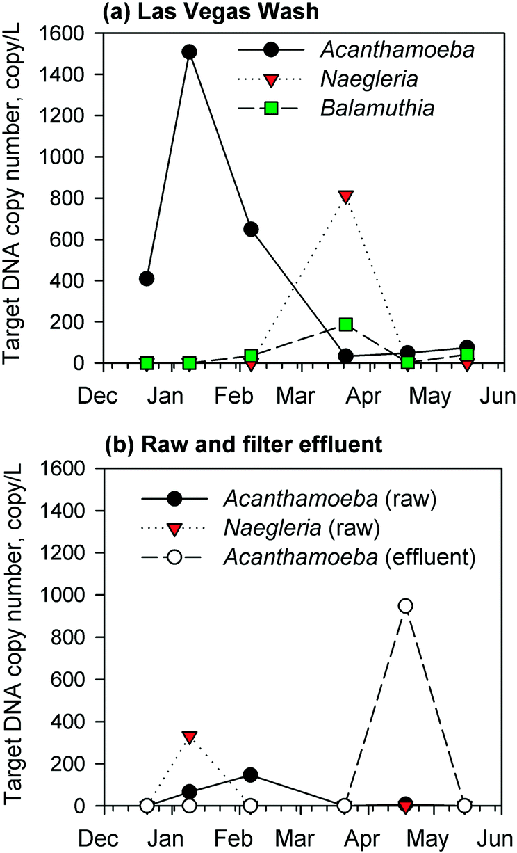 Impact Of Upstream Chlorination On Filter Performance And Microbial Community Structure Of Gac And Anthracite Biofilters Environmental Science Water Research Technology Rsc Publishing