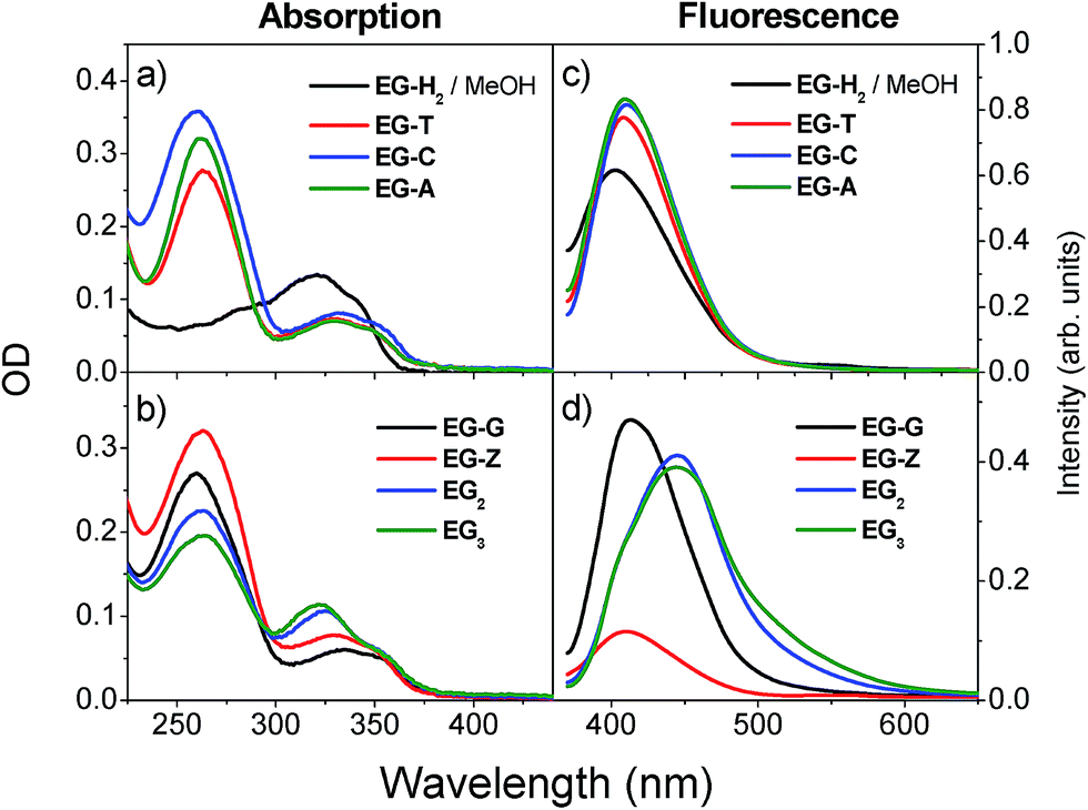 Fluorescent Excimers And Exciplexes Of The Purine Base Derivative 8 Phenylethynyl Guanine In Dna Hairpins Faraday Discussions Rsc Publishing