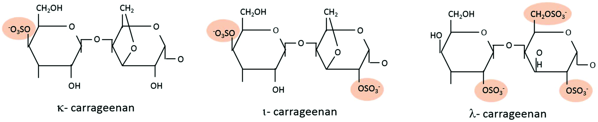 Revisiting the carrageenan controversy: do we really understand ...