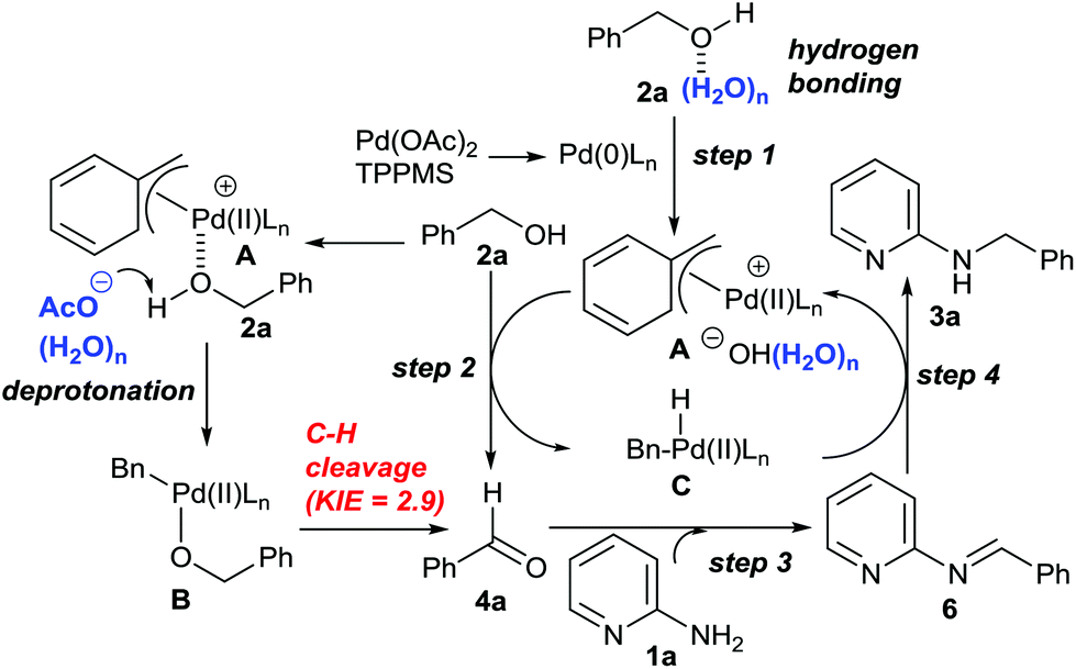 A Borrowing Hydrogen Methodology Palladium Catalyzed Dehydrative N Benzylation Of 2 Aminopyridines In Water Green Chemistry Rsc Publishing