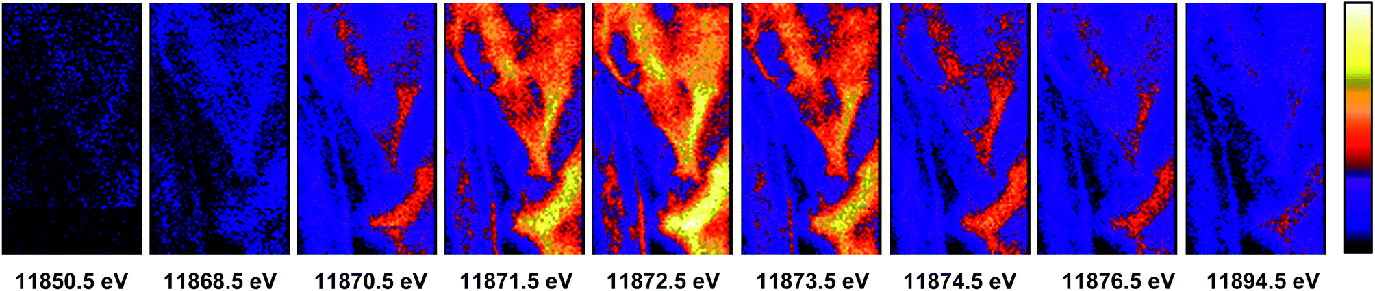 Characterization Of Arsenic In Dried Baby Shrimp Acetes Sp Using Synchrotron Based X Ray Spectrometry And Lc Coupled To Icp Ms Ms Journal Of Analytical Atomic Spectrometry Rsc Publishing